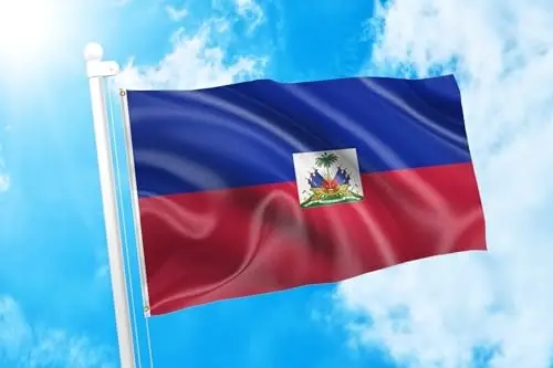 DMSE Haiti Flag 2ft x 3ft 100% Polyester 100D Flag - DMSE Wholesale (1)