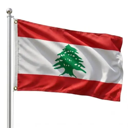 DMSE Lebanon National Flag, 3ft x 5ft - Fade-Resistant Outdoor & Indoor Flag - Quad-Stitched Fly End & Heavy-Duty Brass Grommets (3ft x 5ft) - 1