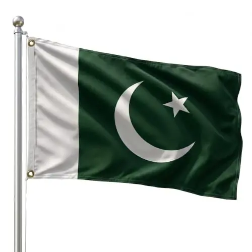 DMSE Pakistan National Flag, 2ft x 3ft - Fade-Resistant Outdoor & Indoor Flag - Quad-Stitched Fly End & Heavy-Duty Brass Grommets (2ft x 3ft) - 1