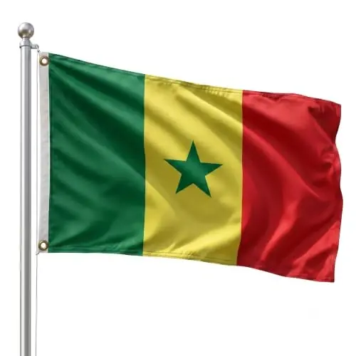 DMSE Senegal National Flag, 2ft x 3ft - Fade-Resistant Outdoor & Indoor Flag - Quad-Stitched Fly End & Heavy-Duty Brass Grommets (2ft x 3ft) - 1