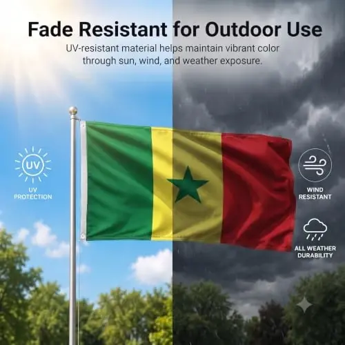 DMSE Senegal National Flag, 2ft x 3ft - Fade-Resistant Outdoor & Indoor Flag - Quad-Stitched Fly End & Heavy-Duty Brass Grommets (2ft x 3ft) - 3