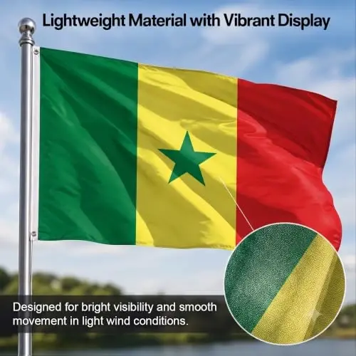 DMSE Senegal National Flag, 2ft x 3ft - Fade-Resistant Outdoor & Indoor Flag - Quad-Stitched Fly End & Heavy-Duty Brass Grommets (2ft x 3ft) - 6