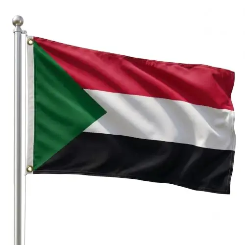 DMSE Sudan National Flag, 2ft x 3ft - Fade-Resistant Outdoor & Indoor Flag - Quad-Stitched Fly End & Heavy-Duty Brass Grommets (2ft x 3ft) - 1