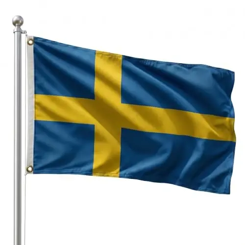 DMSE Sweden National Flag, 2ft x 3ft - Fade-Resistant Outdoor & Indoor Flag - Quad-Stitched Fly End & Heavy-Duty Brass Grommets (2ft x 3ft) - 1