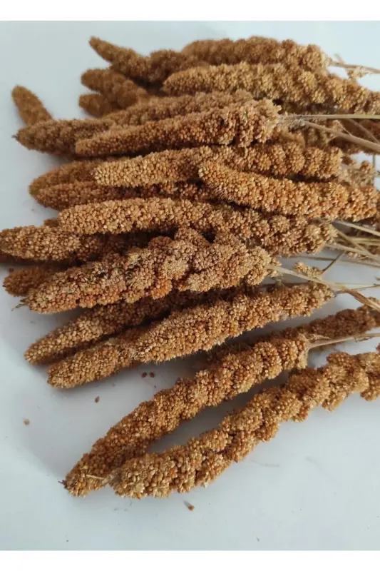 Doğal Üretim Kızıl Dal Darı(500 GR.) - 2