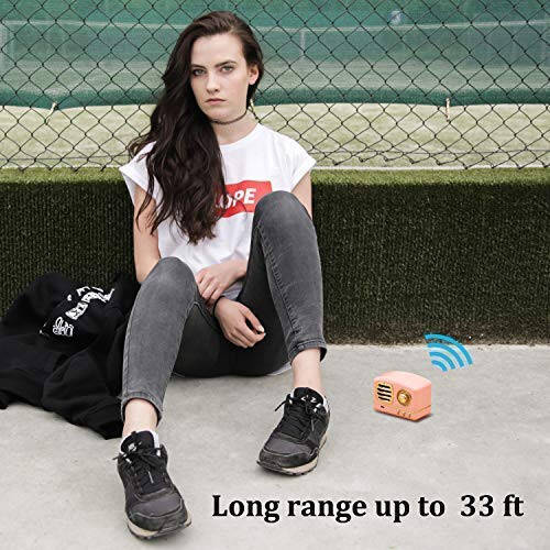 Dosmix Portativ Bluetooth Stereo Karnay, Kuchaytirilgan Bas Retro Simsiz Vintage Karnay TF Karta Uyasi bilan, Sayohat, Uy, Plyaj, Oshxona uchun O'rnatilgan Mik Android/iOS Qurilmalari uchun (Pushti) - 6