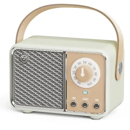 Dosmix Retro Bluetooth Speaker, Vintage Decor, Wireless Bluetooth Speakers, Cute Old Fashion Style for Kitchen Desk Bedroom Office Party Outdoor Kawaii Accessories (Smoke Green) - DOSMIX
