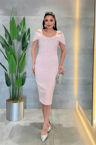 Double Fabric Stone Detailed Boat Neck Pencil Dress - POWDER - 1