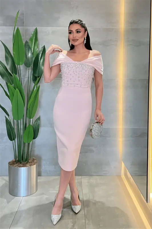 Double Fabric Stone Detailed Boat Neck Pencil Dress - POWDER - 2