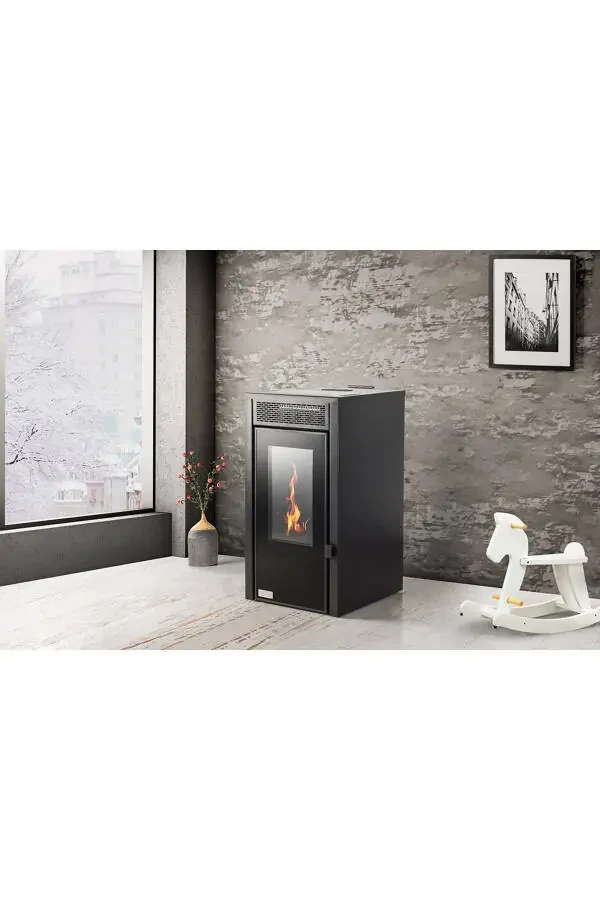 Dp-06 Pellet Stove - 1