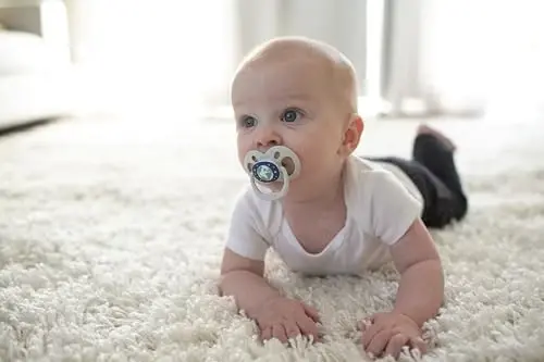 Dr. Brown's Advantage Glow-in-the-Dark Baby Pacifier, Fully Symmetrical Soother with Soft Silicone Bulb, Scooter Squirrel-Purple Nature, 6-18m, BPA Free, 4 Pack - 6