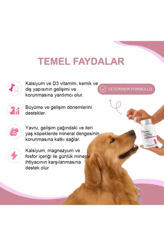 Dr. Natures Itlar uchun Kalsiy Magniy Bo'g'imlarni Qo'llab-quvvatlovchi Oziq-ovqat Qo'shimchasi (75 ta tabletka) - DR. NATURE'S