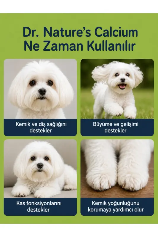 Calcium Magnesium D3 | Köpekler İçin Kemik & Diş Sağlığı Desteği (75 Tablet) - 4