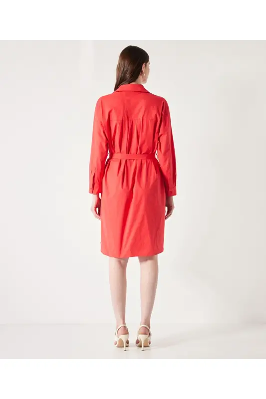 Dress with a belt and collar - 5