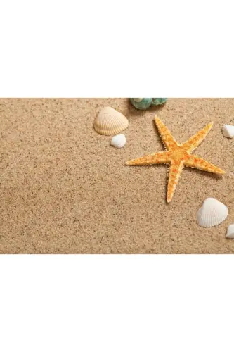 Dried Starfish 2 Pieces 7x10cm Natural Starfish Decorative Ornament Supplies Seafood - 3