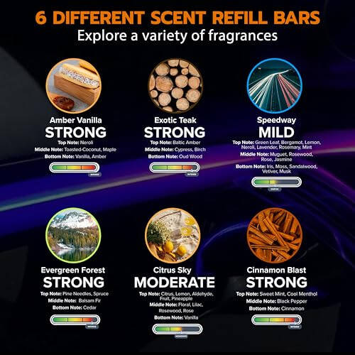 Drive Time Power Fresh 24 Scent Bar Refill Bundle - Power Fresh 12-Volt Plug-in Fresheners - 4 Scent Bars each of Citrus Sky, Amber Vanilla, Exotic Teak, Speedway, Evergreen Forest, Cinnamon Blast. - 2