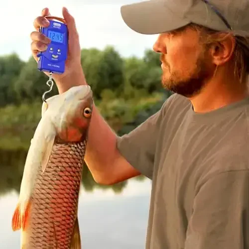 Dr.meter Baliq Tarozi - PS01 110lb/50kg Orqa Fonli LCD Displeyli Raqamli Tarozi, O'rnatilgan O'lchov Lentasi bilan - 2 AAA Batareya bilan Baliq Tarozi, Cho'ntak Hajmi - Erkaklar uchun Baliq Ovi Hediyalari - 6