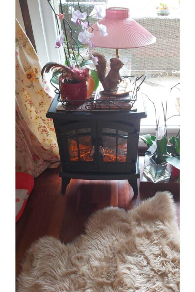 Dsf25 Oyoqqa O'rnatilgan Dekorativ Elektr Kamin - 3