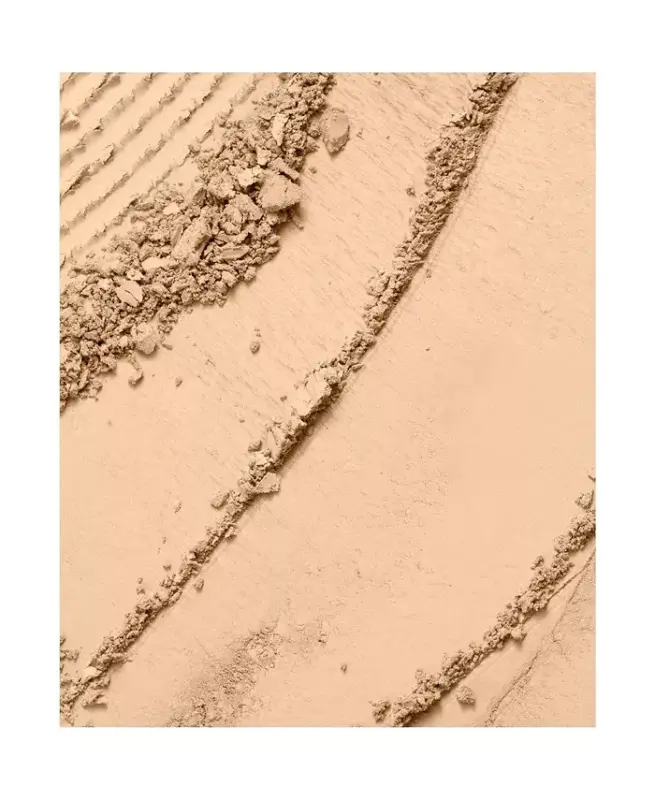 Dual Finish Multi-Tasking Powder Foundation Oil-free Face Powder - 350 BISQUE (W) - 2