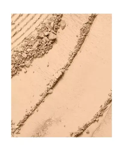 Dual Finish Multi-Tasking Powder Foundation Oil-free Face Powder-350 BISQUE (W) - 2