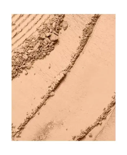 Dual Finish Multi-Tasking Powder Foundation Oil-free Face Powder-355 BISQUE (C) - 4