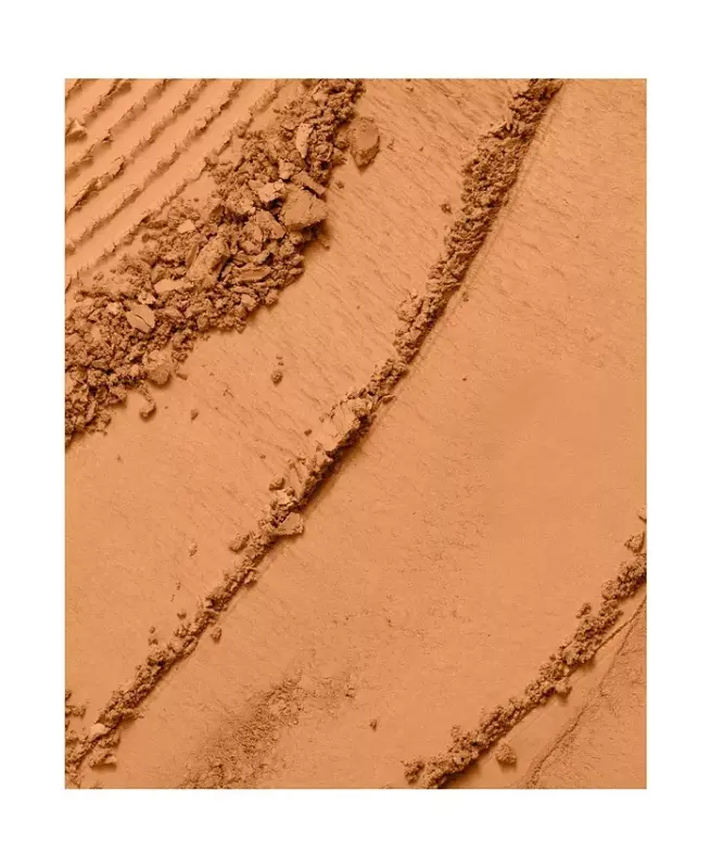 Dual Finish Multi-Tasking Powder Foundation Oil-free Face Powder-540 SUEDE (W) - 2