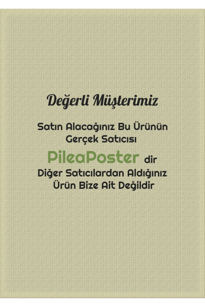 Duvar Çerçevesi 3lü|Boho Dekor|Dekoratif 3 lü Set|üçlü çerçeve |Boho Çerçeve|Dekorasyon|Kahverengi - 6