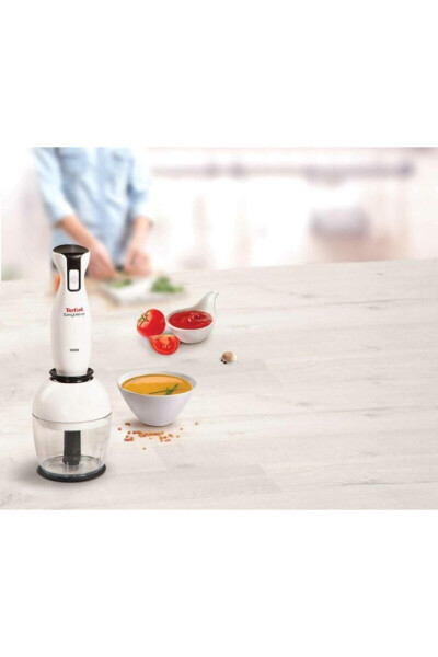 Easyblend Blender Seti 1000 W - 2