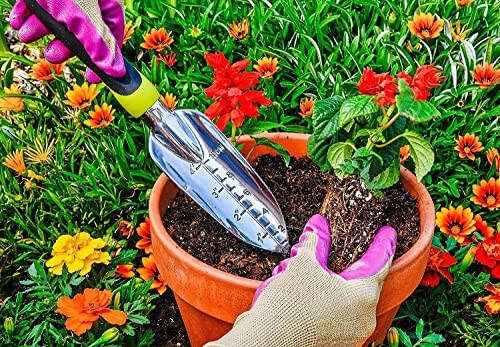 Edward Tools Gardening Hand Tools 3 Piece Set - Heavy Duty Garden Trowel, Transplanter, Hand Rake - Ergo Grip Handle - Bend-Proof & Rust-Proof Design - Cultivator, Garden Hand Shovel - 4