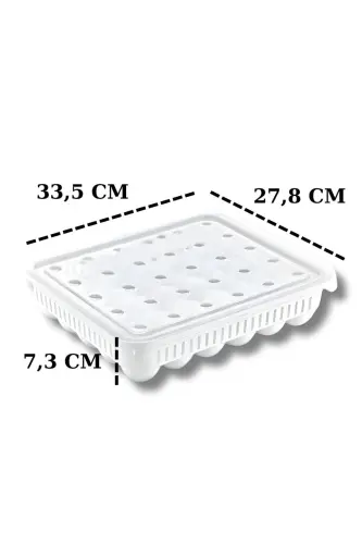Egg Storage Container 30 Pack 1 Unit, Sterile Egg Tray, Lidded Egg Organizer - MODAZONE (1)