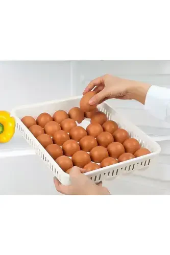 Egg Storage Container 30 Pack 1 Unit, Sterile Egg Tray, Lidded Egg Organizer - MODAZONE (1)