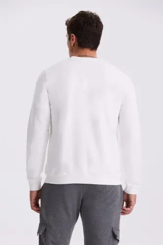 Ekru Slim Fit Bisiklet Yaka Bosma %100 Paxta Sviter - 4