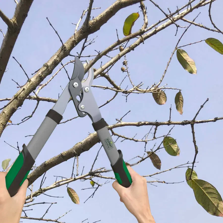 Эксперт Садовник Сучкорез 15 дюймов, 15 дюймов Длина в сборе, 1 фунт Вес в сборе - 2