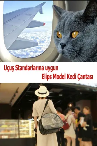 Elips Kedi Taşıma Çantası El Ve Sırt Çantası 6 Hava Kanalı 2 Fileli Cep Kedi Taşıma Çantası Astronot-Gri - 4