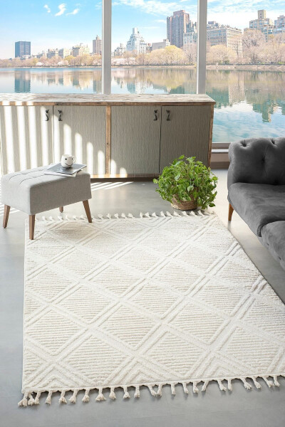 Elit Collection High Quality Curly Soft Fringe Living Room And Hall Rug 