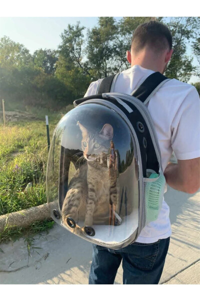 Ellipse Cat Carrier Bag Black Hand And Back Bag 6 Air Channels 2 Mesh Pocket Cat Carrier Bag - 5