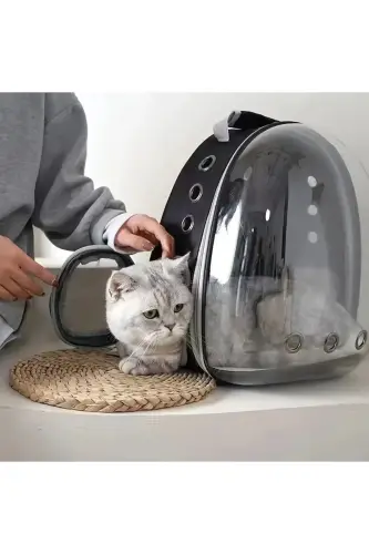 Ellipse Cat Carrier Bag Black Hand And Back Bag 6 Air Channels 2 Mesh Pocket Cat Carrier Bag - 5