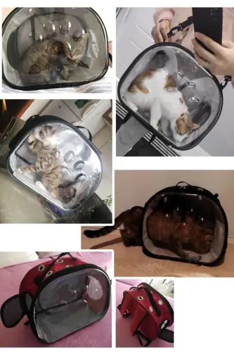 Ellipse Cat Carrier Hand And Backpack 6 Air Channels 2 Mesh Pockets Cat Carrier Astronaut-Gray - 2