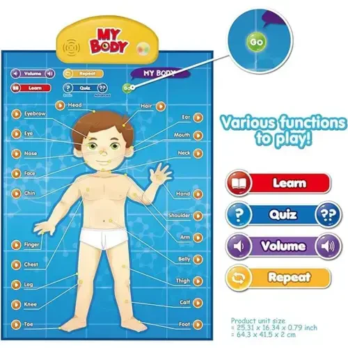 BEST LEARNING Interactive Human Body Poster – Talking Anatomy STEM Toy for Kids Ages 5-12 Top Christmas Gift - 5