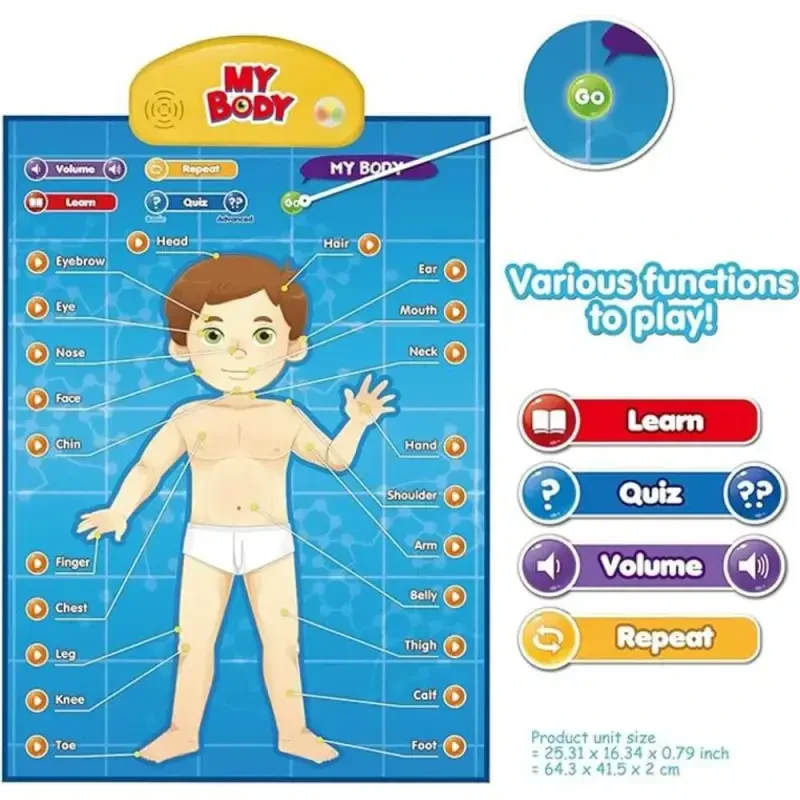 BEST LEARNING Interactive Human Body Poster – Talking Anatomy STEM Toy for Kids Ages 5-12 Top Christmas Gift - 5