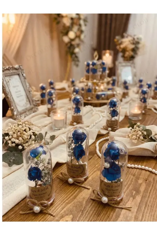 Engagement, Henna, Wedding, Circumcision, Baby, Mawlid, Engagement - 2