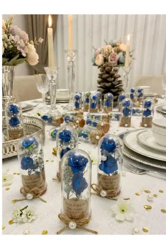 Engagement, Henna, Wedding, Circumcision, Baby, Mawlid, Engagement - 6