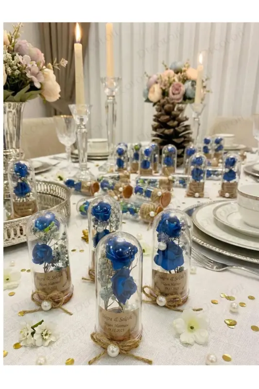 Engagement, Henna, Wedding, Circumcision, Baby, Mawlid, Engagement - 6