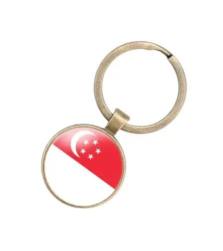 EnigmaGlow World Most Countries Flag Keyring Key Chain Zinc Alloy Keychains Daily Keychain Home Car Keys for Men Women - 1