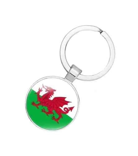 EnigmaGlow World Most Countries Flag Keyring Key Chain Zinc Alloy Keychains Daily Keychain Home Car Keys for Men Women - 1