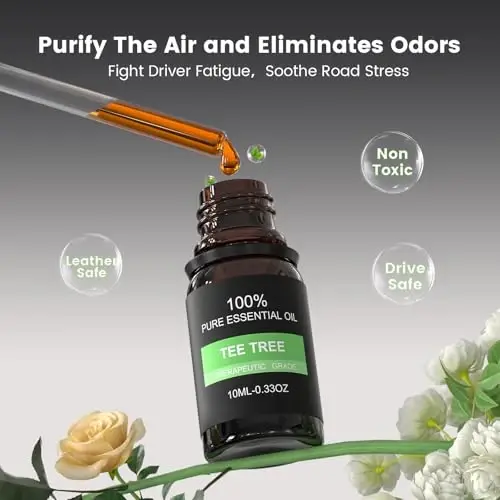 EORRZZY 2Pcs Car Air Freshener Vent Clips, Car Diffuser Essential Oils Kit with 5 Different Essential Oils (0.34oz Each) & 12 Refill Sticks, long lasting Cars fragrance for House - HOME-CLOUD (1)