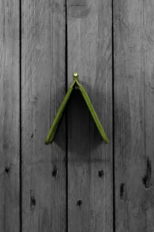 Erkak Yashil Hamyon Kartlar Natural Pul Klipsli Sovg'a Qutili Haqiqiy Teri Hamyon Kartlar | Larga-Yashil - 5