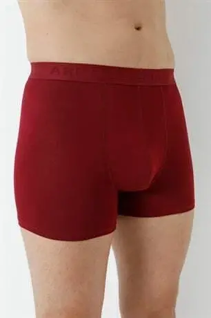 Erkaklar uchun bordo rangli bambuk boksyorlar, 3 dona - 8