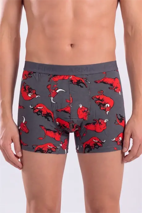 Erkaklar uchun naqshli boksyor 10 ta to'plam paxtali likrali yumshoq va egiluvchan mato - 9