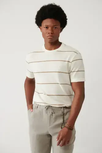 Erkaklar uchun ochiq bej chiziqli Regular Fit futbolkasi A41y1016 - 1